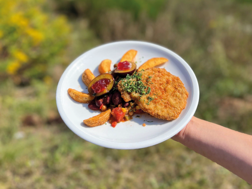 Teller mit Schnitzel und Beilagen 